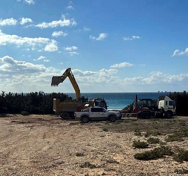 Çevrecilerden ’beach club için ağaçlar kesildi’ iddiasıyla suç duyurusu