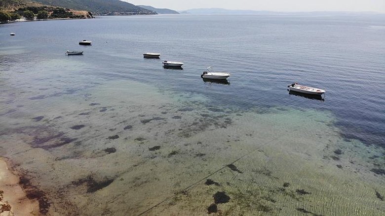Tahribat inanılmaz boyutta! Koruma altındaki deniz çayırlarını kepçeyle söktüler