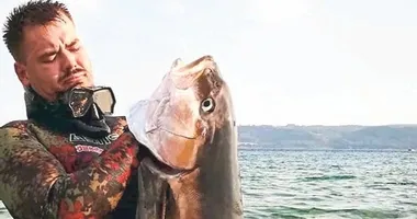 Dalış yapan kaptana müren saldırısı