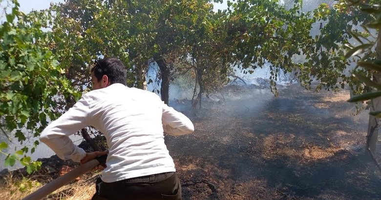 Aydın’da yangın paniği! Mahallelinin önlemi kurtardı
