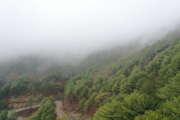 Sislerle kaplanan Kazdağları dronla görüntülendi