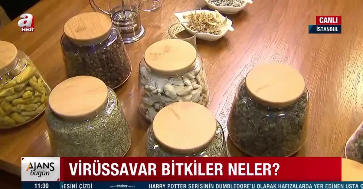 Bagisiklik Sistemi Nasil Guclendirilir