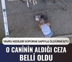 Manisa’daki yavru kedi vahşetinde karar çıktı! Süpürge sapıyla öldürmüştü