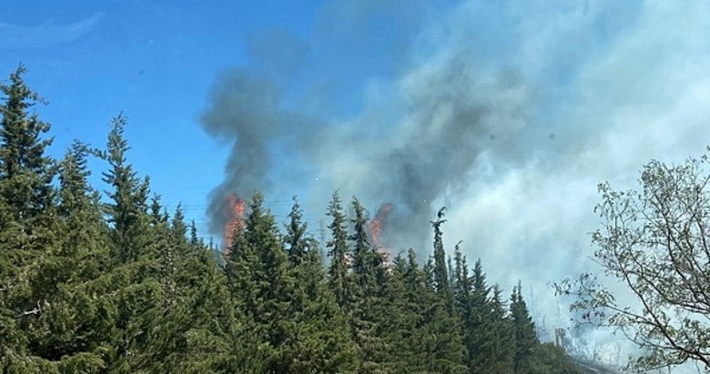 Aliağa’da ormanlık alanda çıkan yangın hızlı müdahale ile söndürüldü