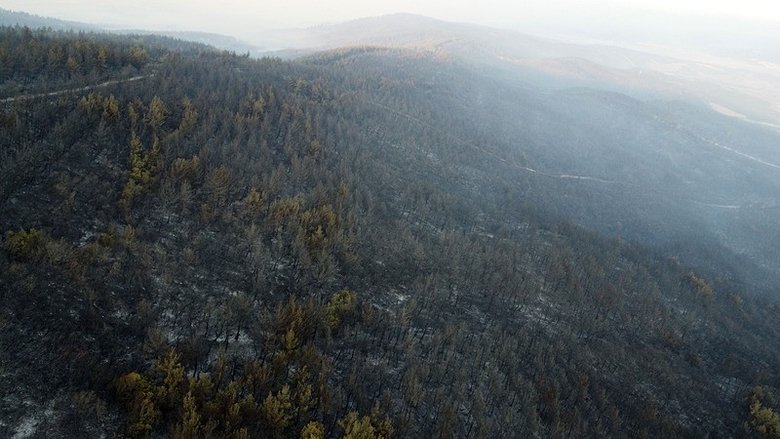 Gelibolu’da yangından geriye kalan acı tablo böyle görüntülendi! İçler acısı görüntü gün ağarınca ortaya çıktı