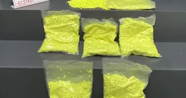 Çantasından binlerce zehir çıktı