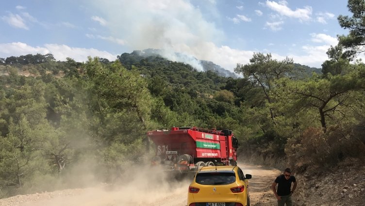 Muğla Bodrum’da orman yangıını