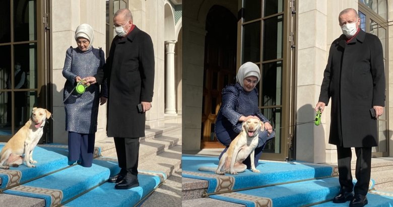 Emine Erdoğan paylaştı: Cumhurbaşkanımızı Leblebi ile uğurladık