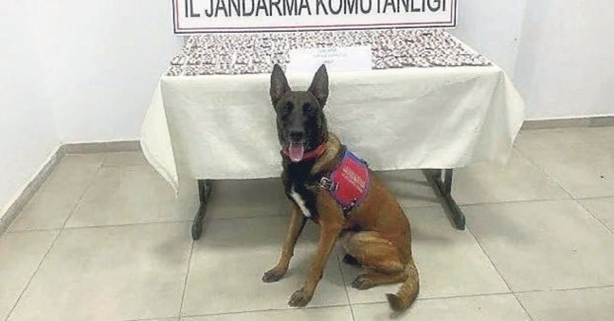 Uyuşturucu satışı yapılan mekana baskın: 1 tutuklama