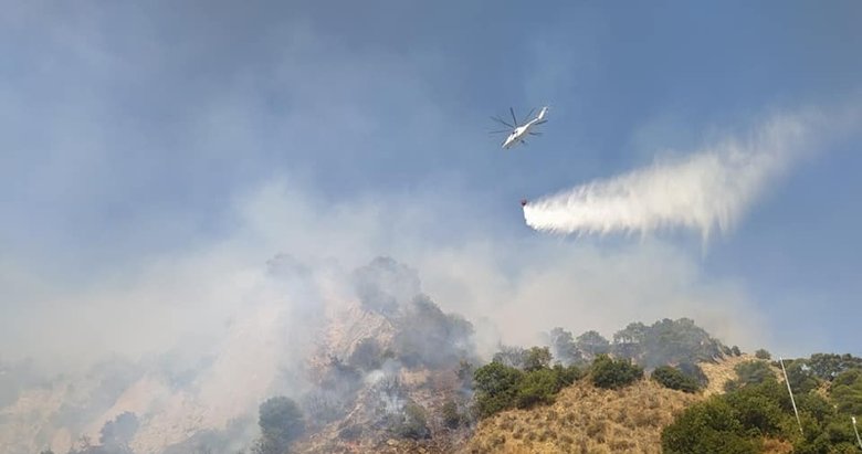 Aydın ve Muğla’da bu yıl 865 hektar alan yandı