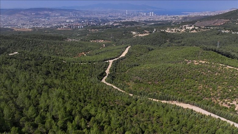 valilik-duyurdu-izmirde-ormanlik-alanlara-giris-yasaklandi-1780302432463.jpeg
