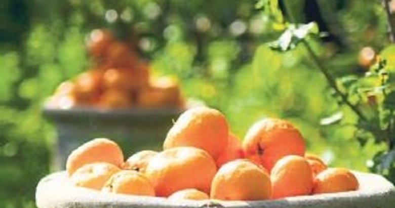 Yaş meyve sebzeden 7 ayda 1 milyon dolar