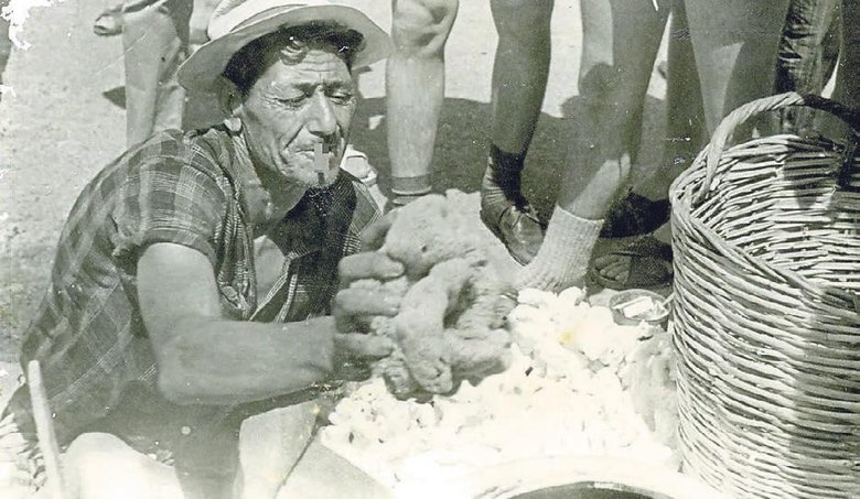 Sünger avcıları: Günde üç kez ölümle mücadele ediyorduk