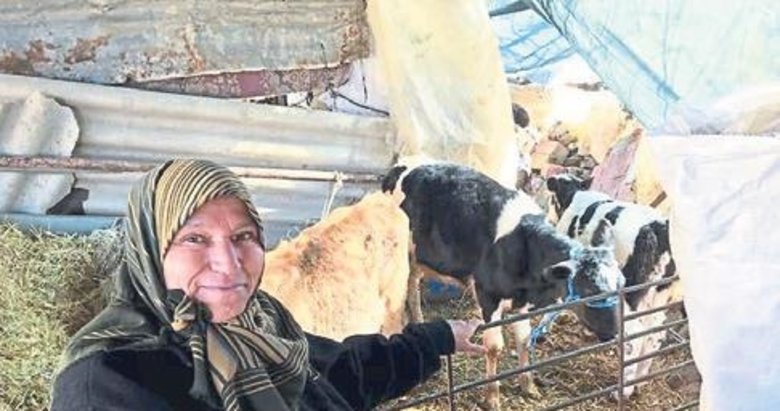 Aydınlı engelli kadın, 60 yaşından sonra iş kurdu