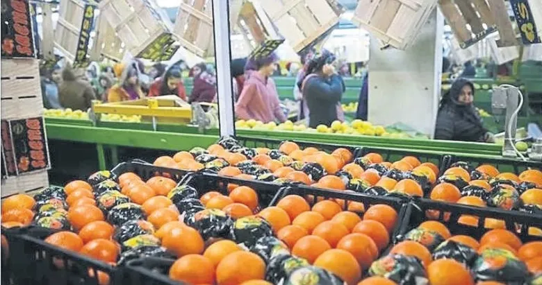 Tarımda tüm zamanların ihracat rekoru