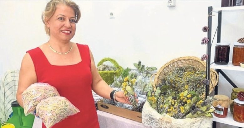 Aydın’ın bitkileri Türkiye’ye şifa oluyor