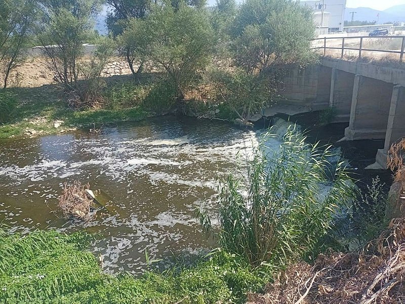 MHP’li başkandan Tunç Soyer’e sert tepki