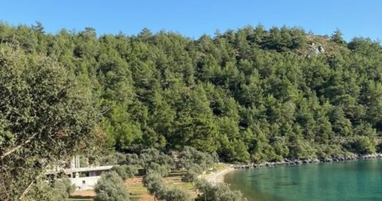 Molla İbrahim Koyu’ndaki kaçak yapı hakkında karar çıktı