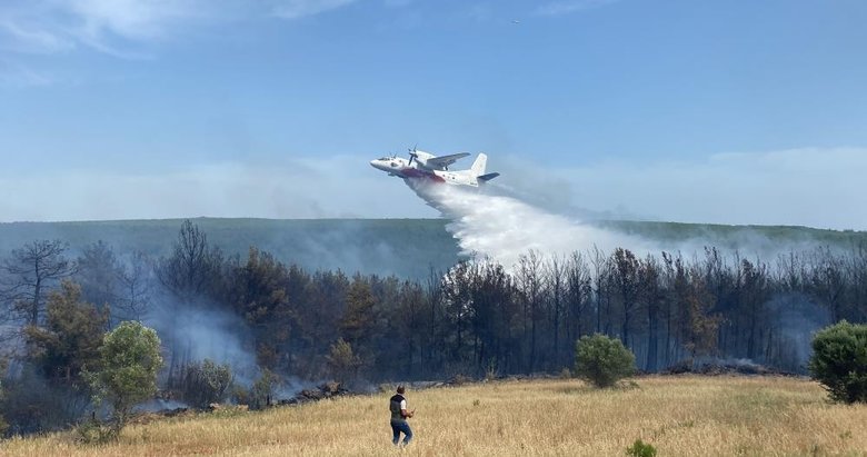 Çanakkale’deki orman yangını kontrol altına alındı