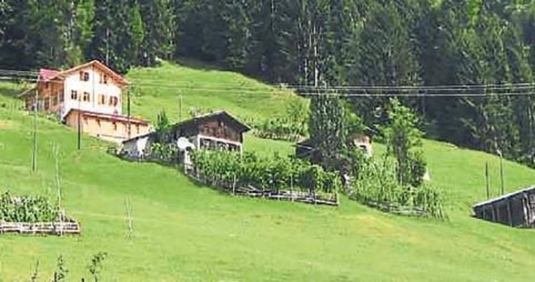 Kavuran sıcaklardan yaylalara kaçış vakti!