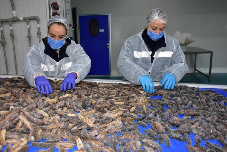 İzmir’den Japonya ve Çin’e 30 milyon dolarlık ihracat