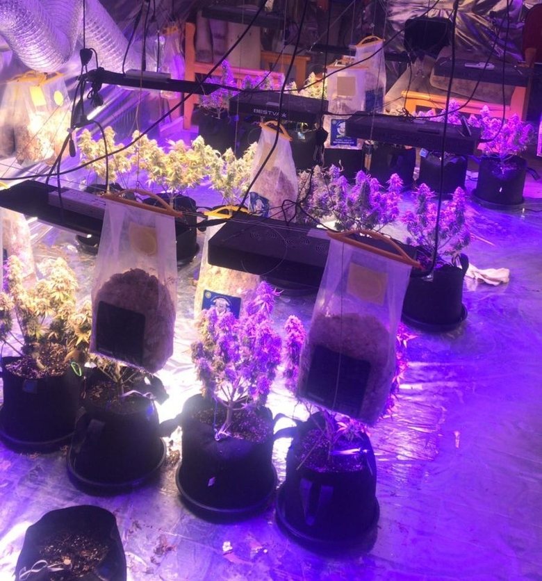 Balıkesir'de zehir baskını! Villa değil, uyuşturucu imalathanesi