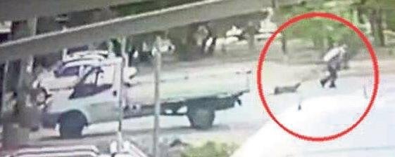 Şu hayvanın yaptığına bak!