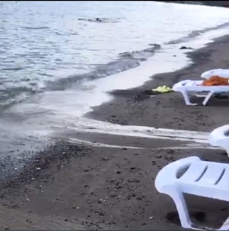 Muğla’daki mavi bayraklı plajda lağım skandalı