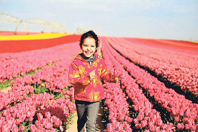 Türkiye’nin çiçek tarlaları