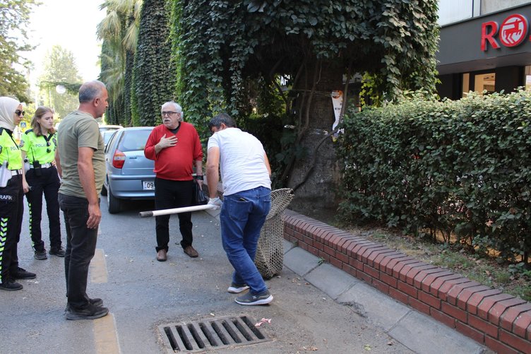 Aydın’da duyarlı kadın trafikçiler yol kenarında mahsur kalan ayağı kırık kediyi kurtardı