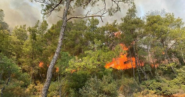 Fethiye’de orman yangını! Rüzgarın etkisiyle yayıldı