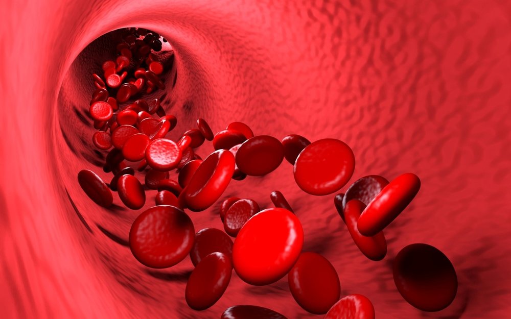 Hemoroid nedir? Hemoroid nasıl geçer? İşte hemoroide iyi gelen besinler