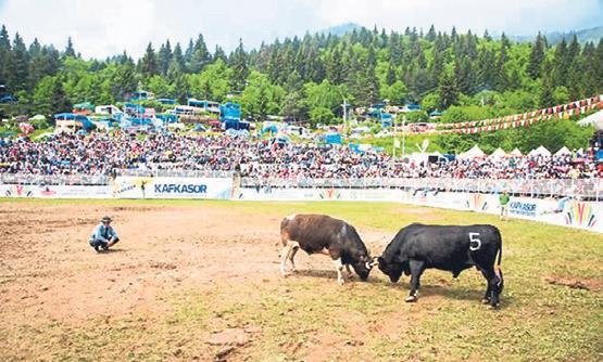 Karçal Dağları’nın en güzel noktası: Artvin