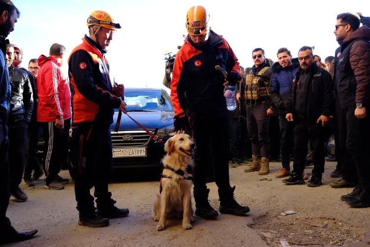 AFAD, Sednaya Hapishanesi’nde arama çalışmaları yapıyor