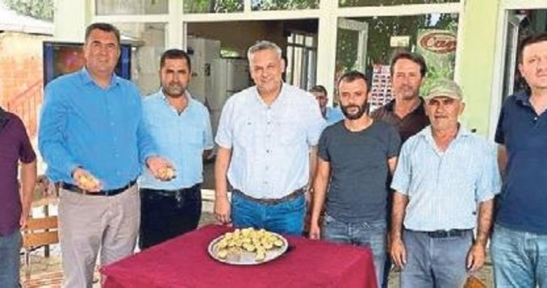 Aydın’da ilk kuru incir kilosu 200 liradan satıldı