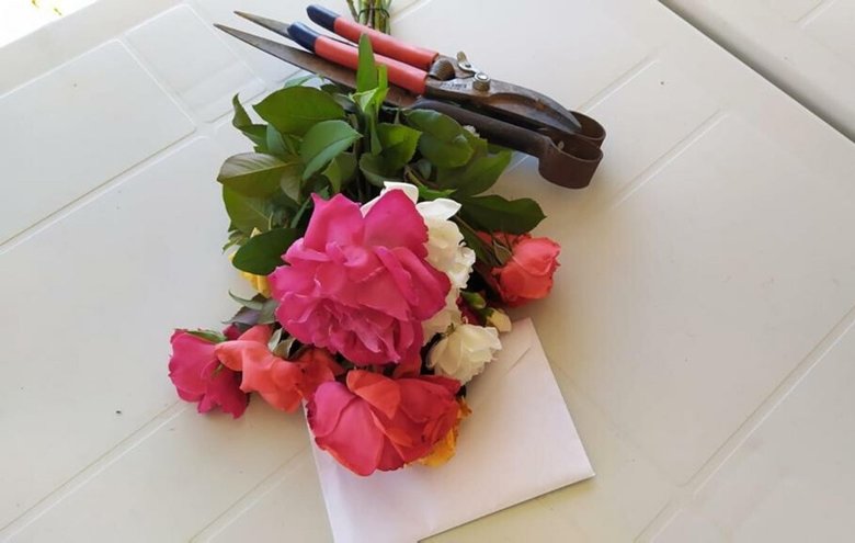 İzmir’de alev avcısı ormancıları duygulandıran mektup!