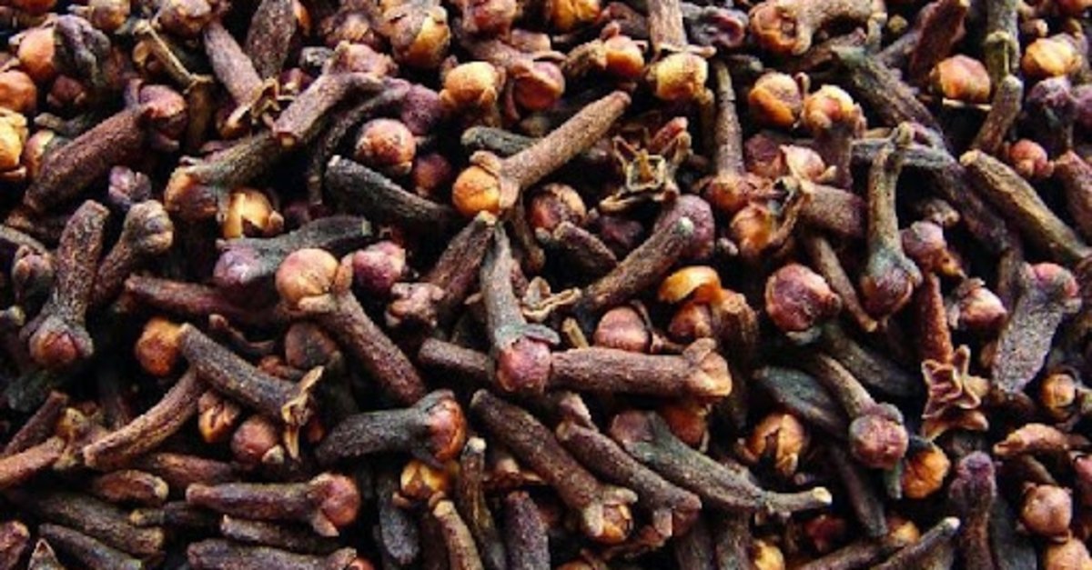 Ufacık ama gücü dev gibi!