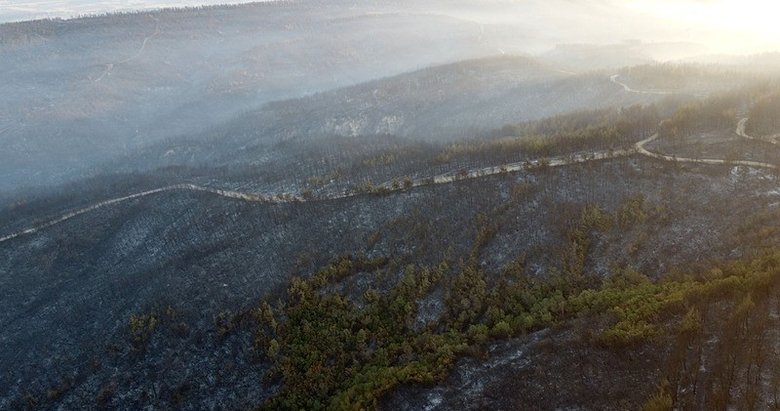Gelibolu’da yangından geriye kalan acı tablo böyle görüntülendi! İçler acısı görüntü gün ağarınca ortaya çıktı