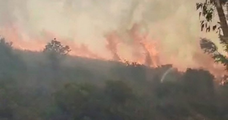 Bodrum’da makilik ve otluk alanda yangın