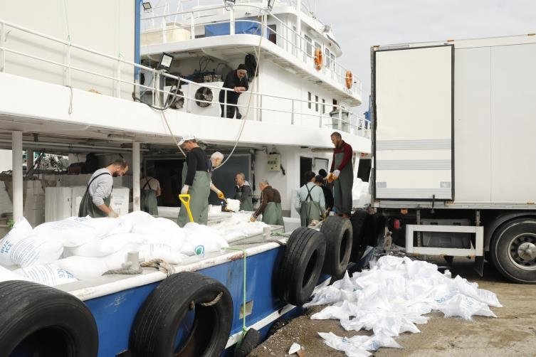 Bol ve iri palamut balıkçıların yüzünü güldürüyor