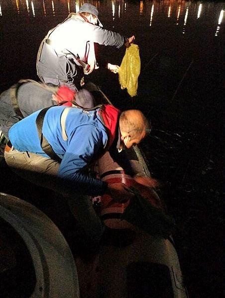 İzmir’de ele geçirildi! Hepsi denize döküldü