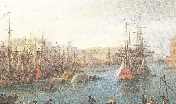 marsilyanin-focali-kokleri-1789929811510.jpeg
