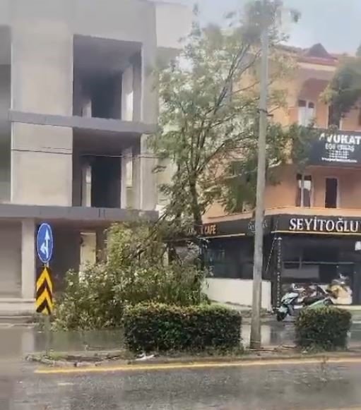 Fırtına Didim’de çatıları uçurdu, ağaçları devirdi