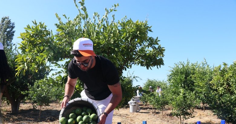 Gönüllü öğrenciler, İzmir’de ihtiyaç sahipleri için mandalina topladı