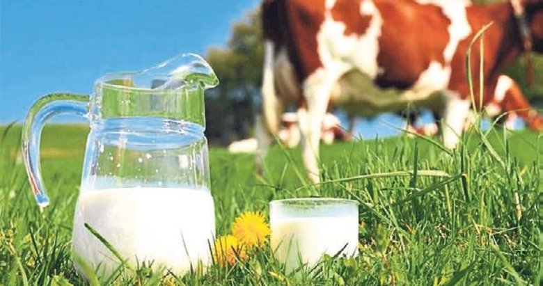 65 bin ton inek sütü ihaleyle satılacak