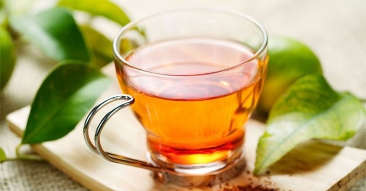 Her derde deva! Kekik çayı vücudu baştan aşağı yeniliyor! Kekik çayı bakın neye iyi geliyor!