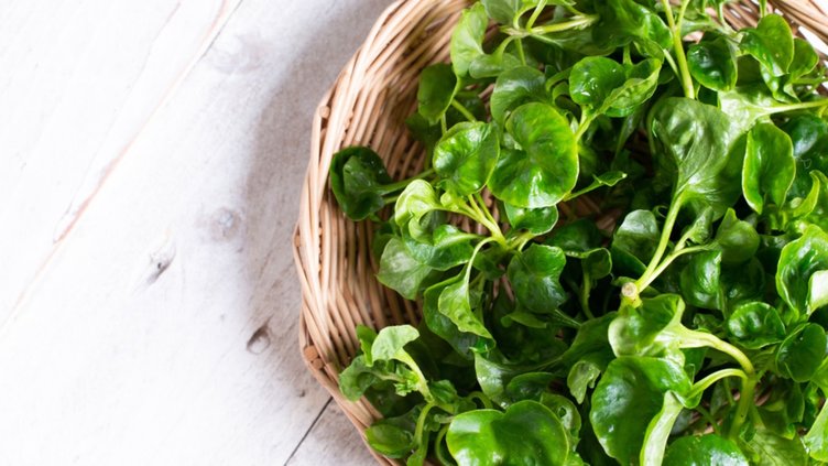 Bu bitkinin faydaları saymakla bitmiyor! A, K ve C vitaminlerine yüksek oranda sahip