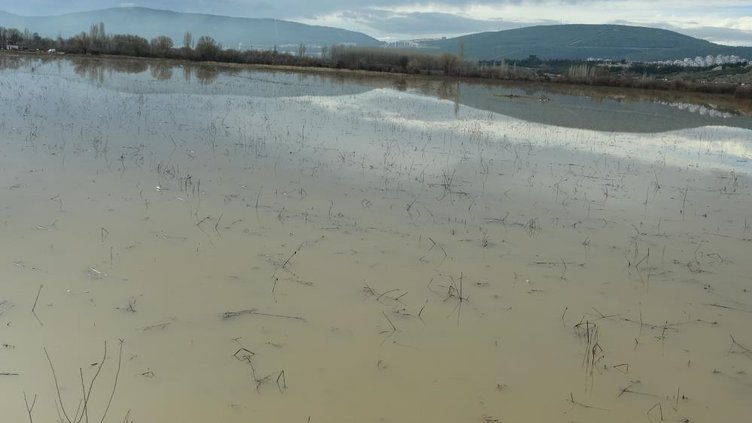 Muğla’da Karabağlar Yaylası yağışlar sonrası göle döndü! Toprak suya doydu