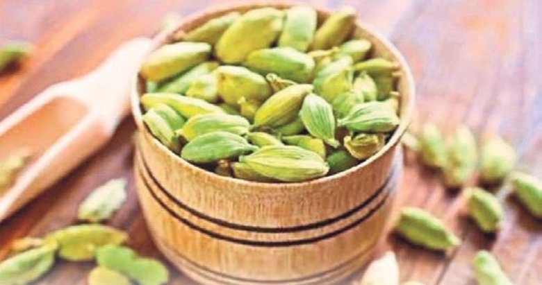 Kakule mikroplara karşı savaşıyor