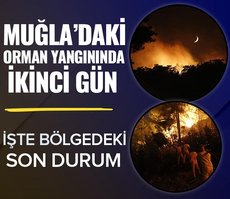 Muğla’daki orman yangınında 2. gün! İşte bölgedeki son durum